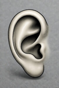 ¿Qué parte de ti necesita ser escuchada para liderar con más claridad y empatía?